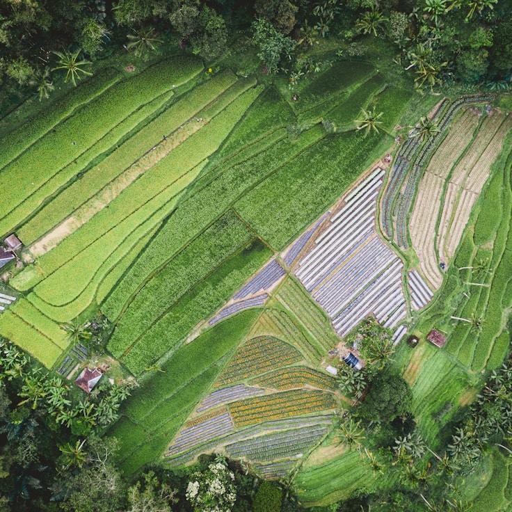 Outdoor terrace seating suitable for families in Mountain View